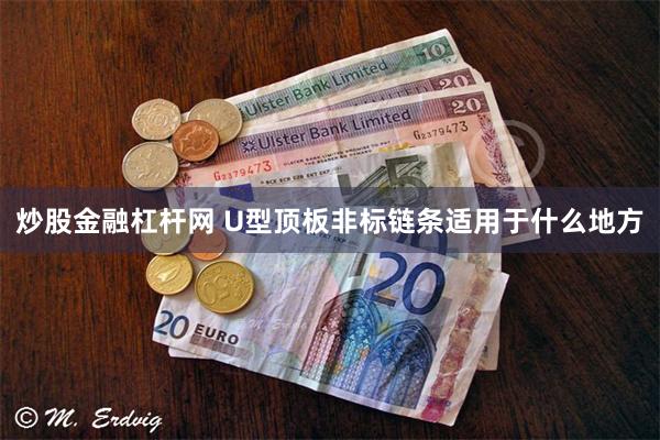 炒股金融杠杆网 U型顶板非标链条适用于什么地方