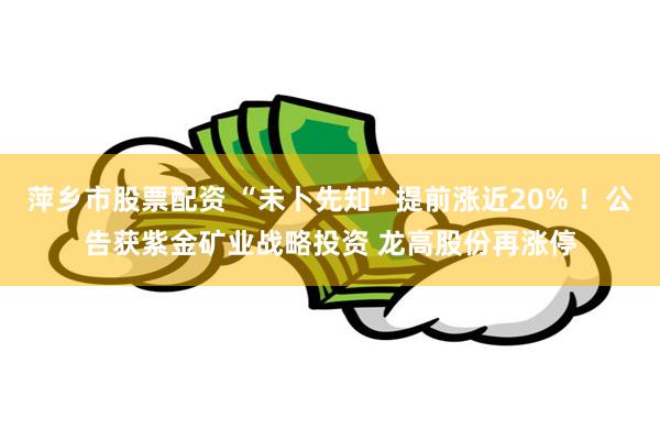 萍乡市股票配资 “未卜先知”提前涨近20% ！公告获紫金矿业战略投资 龙高股份再涨停