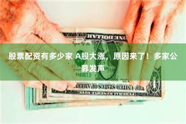 股票配资有多少家 A股大涨，原因来了！多家公募发声