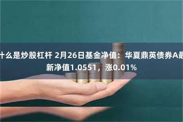 什么是炒股杠杆 2月26日基金净值：华夏鼎英债券A最新净值1.0551，涨0.01%