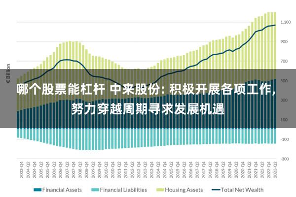 哪个股票能杠杆 中来股份: 积极开展各项工作, 努力穿越周期寻求发展机遇