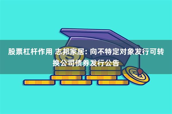 股票杠杆作用 志邦家居: 向不特定对象发行可转换公司债券发行公告