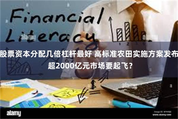 股票资本分配几倍杠杆最好 高标准农田实施方案发布 超2000亿元市场要起飞？