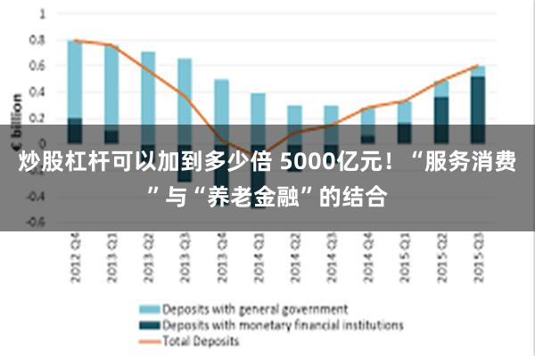 炒股杠杆可以加到多少倍 5000亿元！“服务消费”与“养老金融”的结合